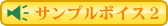 �T���v���{�C�X2