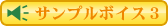 �T���v���{�C�X3