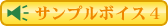 �T���v���{�C�X4